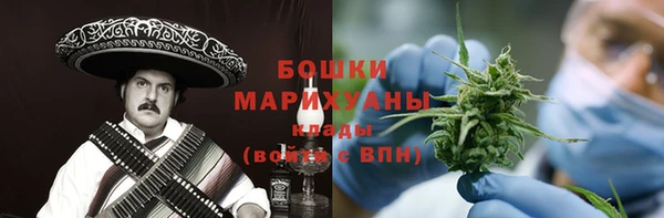 сатива Сосновый Бор