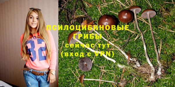 jwh Арсеньев