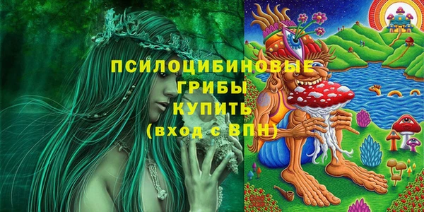 Альфа ПВП Армянск